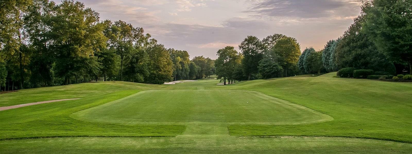Golf Thornblade Club